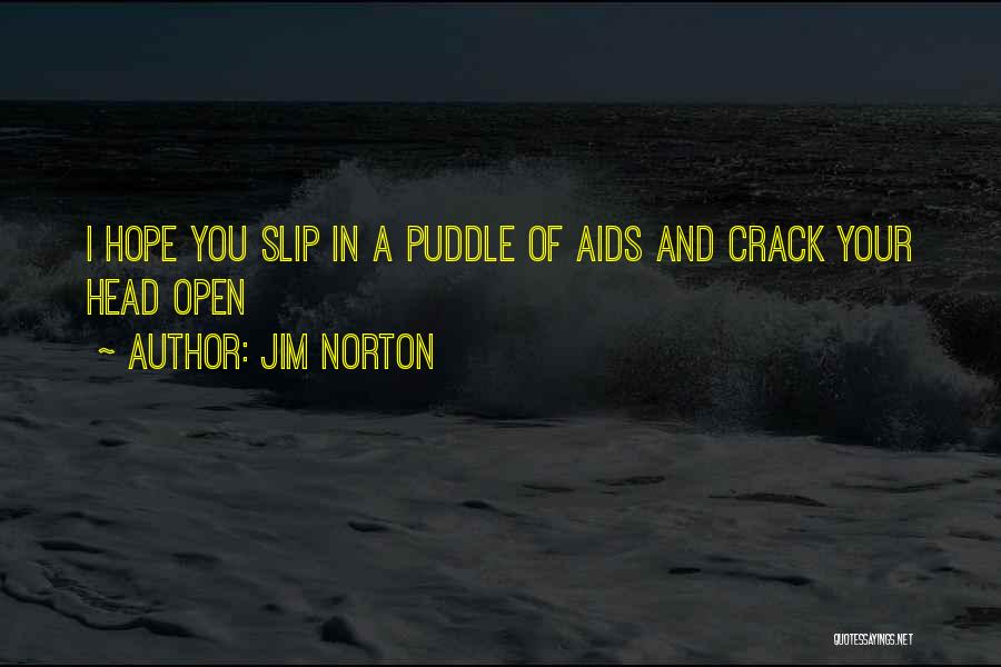 Jim Norton Quotes: I Hope You Slip In A Puddle Of Aids And Crack Your Head Open