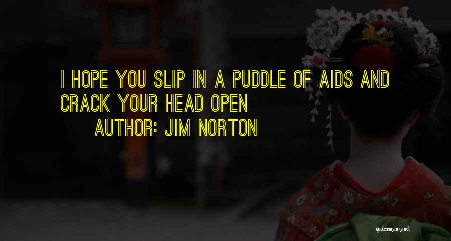 Jim Norton Quotes: I Hope You Slip In A Puddle Of Aids And Crack Your Head Open