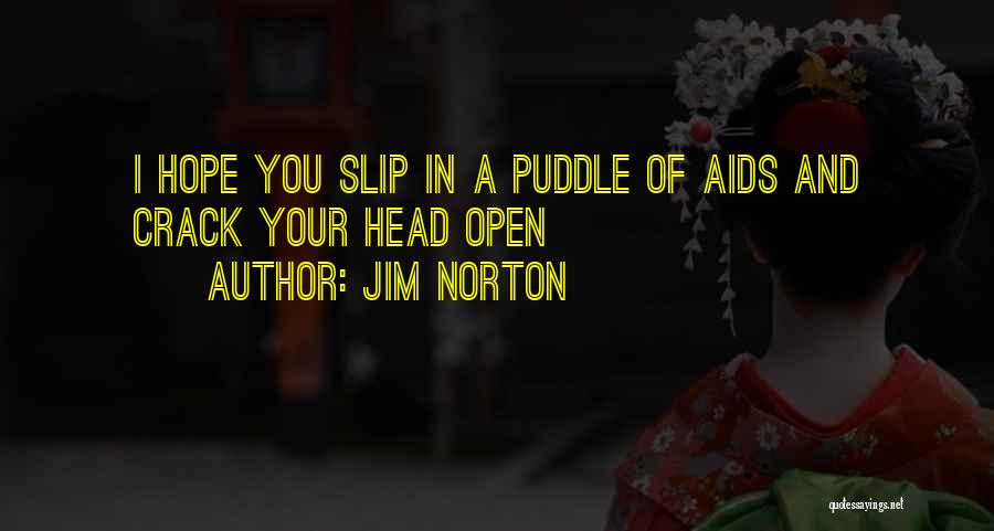 Jim Norton Quotes: I Hope You Slip In A Puddle Of Aids And Crack Your Head Open