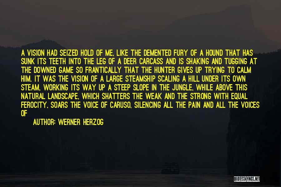 Werner Herzog Quotes: A Vision Had Seized Hold Of Me, Like The Demented Fury Of A Hound That Has Sunk Its Teeth Into