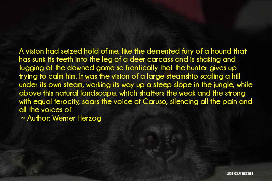 Werner Herzog Quotes: A Vision Had Seized Hold Of Me, Like The Demented Fury Of A Hound That Has Sunk Its Teeth Into