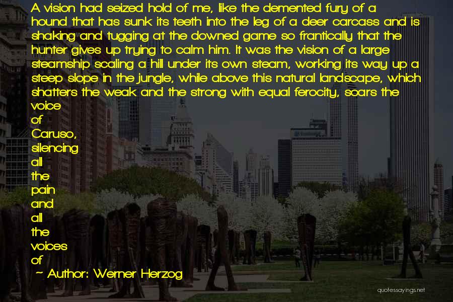 Werner Herzog Quotes: A Vision Had Seized Hold Of Me, Like The Demented Fury Of A Hound That Has Sunk Its Teeth Into