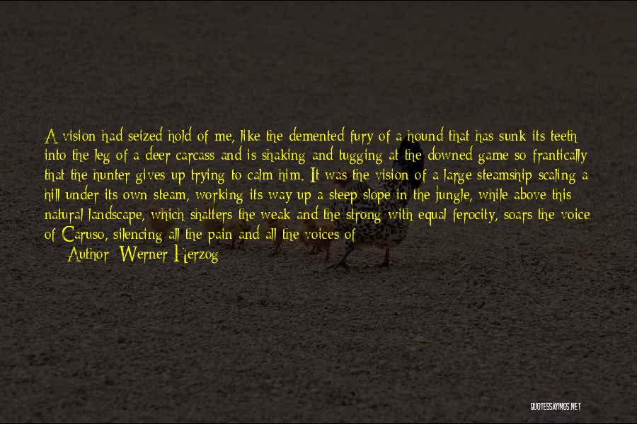 Werner Herzog Quotes: A Vision Had Seized Hold Of Me, Like The Demented Fury Of A Hound That Has Sunk Its Teeth Into