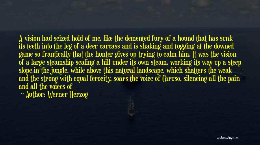 Werner Herzog Quotes: A Vision Had Seized Hold Of Me, Like The Demented Fury Of A Hound That Has Sunk Its Teeth Into