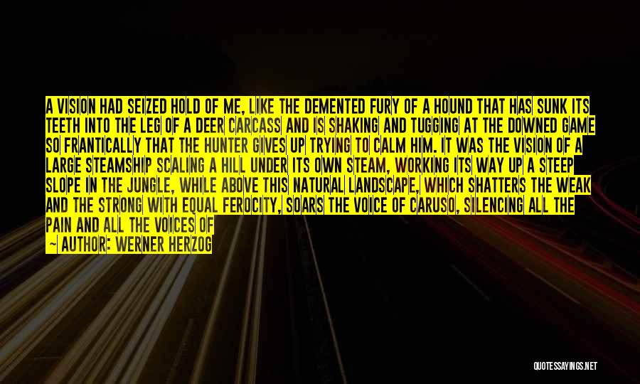 Werner Herzog Quotes: A Vision Had Seized Hold Of Me, Like The Demented Fury Of A Hound That Has Sunk Its Teeth Into