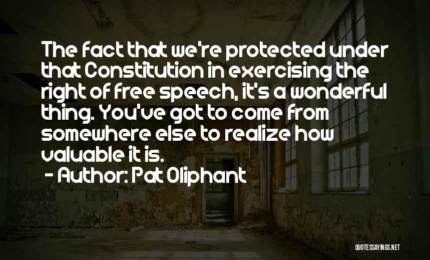 Pat Oliphant Quotes: The Fact That We're Protected Under That Constitution In Exercising The Right Of Free Speech, It's A Wonderful Thing. You've