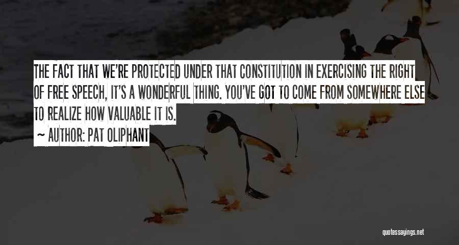 Pat Oliphant Quotes: The Fact That We're Protected Under That Constitution In Exercising The Right Of Free Speech, It's A Wonderful Thing. You've