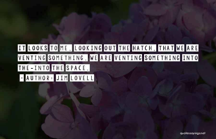 Jim Lovell Quotes: It Looks To Me, Looking Out The Hatch, That We Are Venting Something. We Are Venting Something Into The-into The