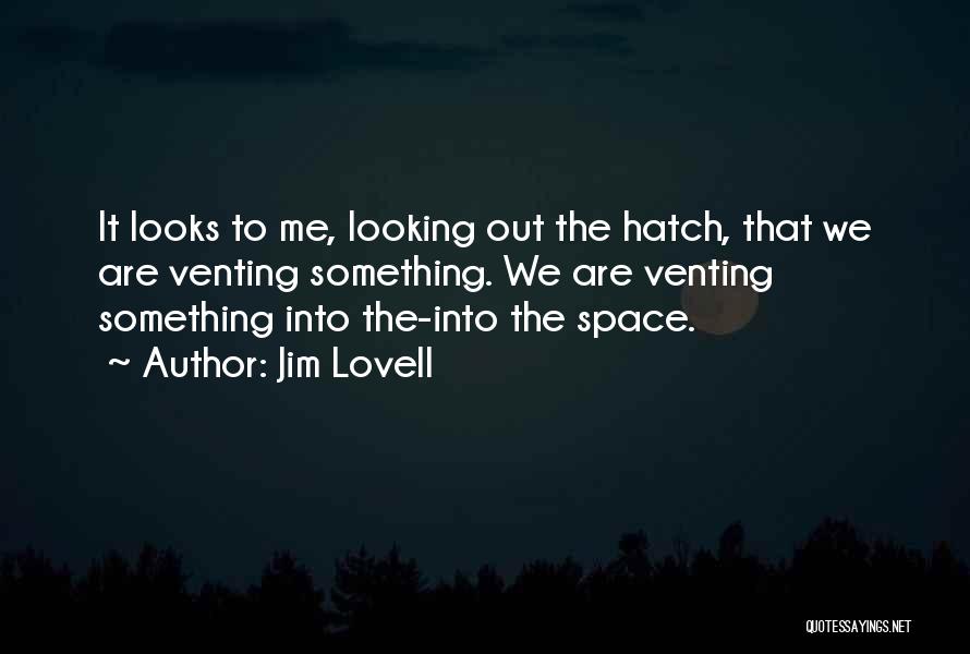 Jim Lovell Quotes: It Looks To Me, Looking Out The Hatch, That We Are Venting Something. We Are Venting Something Into The-into The