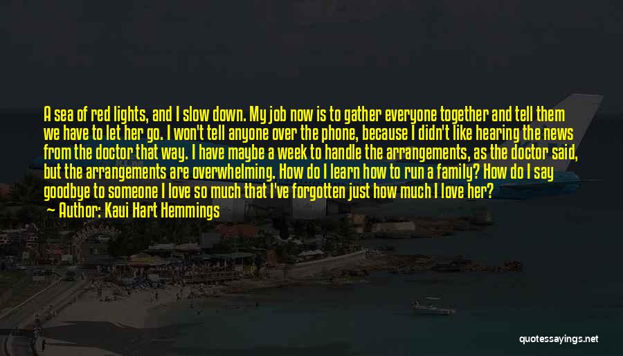 Kaui Hart Hemmings Quotes: A Sea Of Red Lights, And I Slow Down. My Job Now Is To Gather Everyone Together And Tell Them