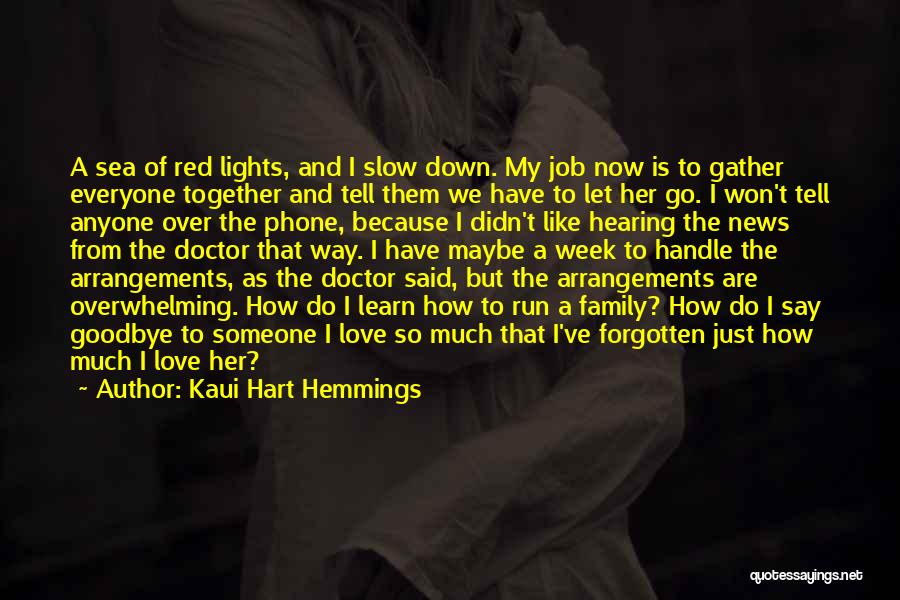 Kaui Hart Hemmings Quotes: A Sea Of Red Lights, And I Slow Down. My Job Now Is To Gather Everyone Together And Tell Them