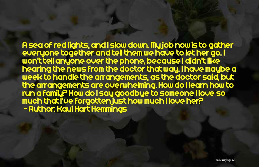 Kaui Hart Hemmings Quotes: A Sea Of Red Lights, And I Slow Down. My Job Now Is To Gather Everyone Together And Tell Them