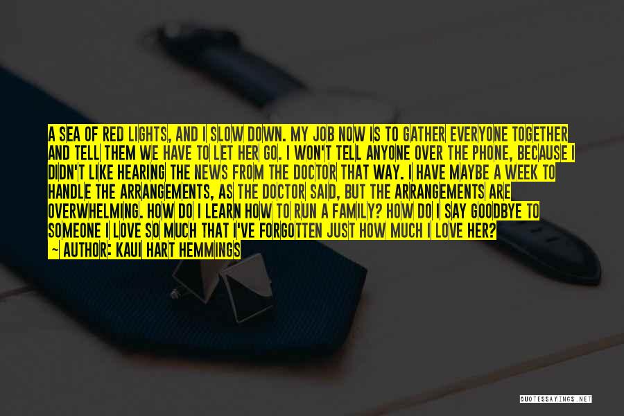 Kaui Hart Hemmings Quotes: A Sea Of Red Lights, And I Slow Down. My Job Now Is To Gather Everyone Together And Tell Them