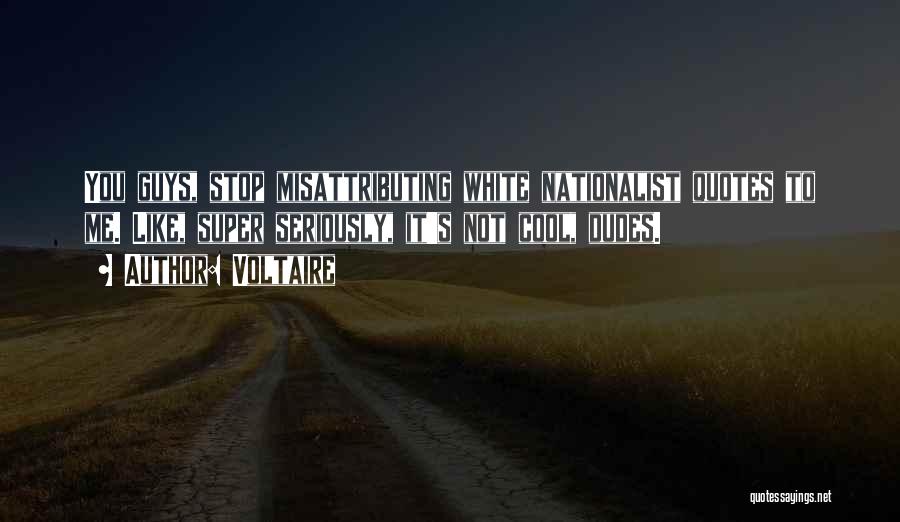 Voltaire Quotes: You Guys, Stop Misattributing White Nationalist Quotes To Me. Like, Super Seriously, It's Not Cool, Dudes.