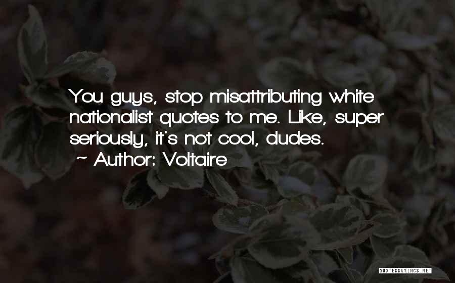 Voltaire Quotes: You Guys, Stop Misattributing White Nationalist Quotes To Me. Like, Super Seriously, It's Not Cool, Dudes.
