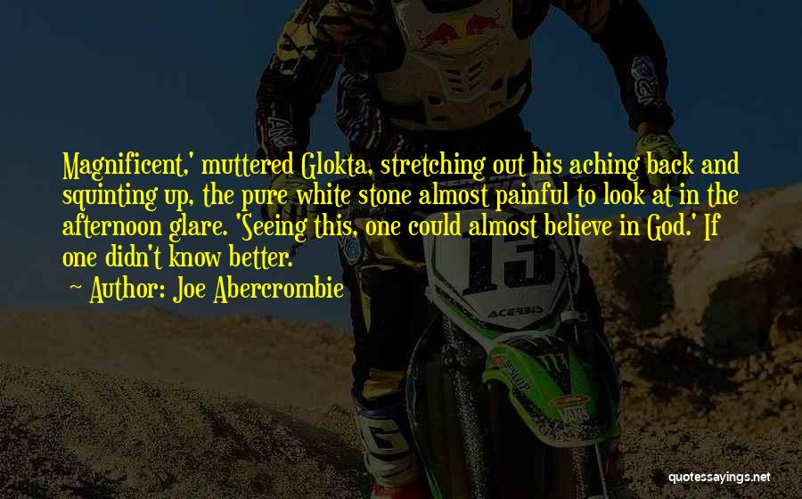 Joe Abercrombie Quotes: Magnificent,' Muttered Glokta, Stretching Out His Aching Back And Squinting Up, The Pure White Stone Almost Painful To Look At