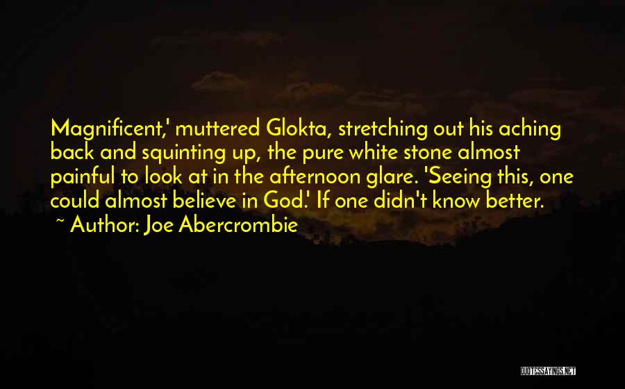 Joe Abercrombie Quotes: Magnificent,' Muttered Glokta, Stretching Out His Aching Back And Squinting Up, The Pure White Stone Almost Painful To Look At