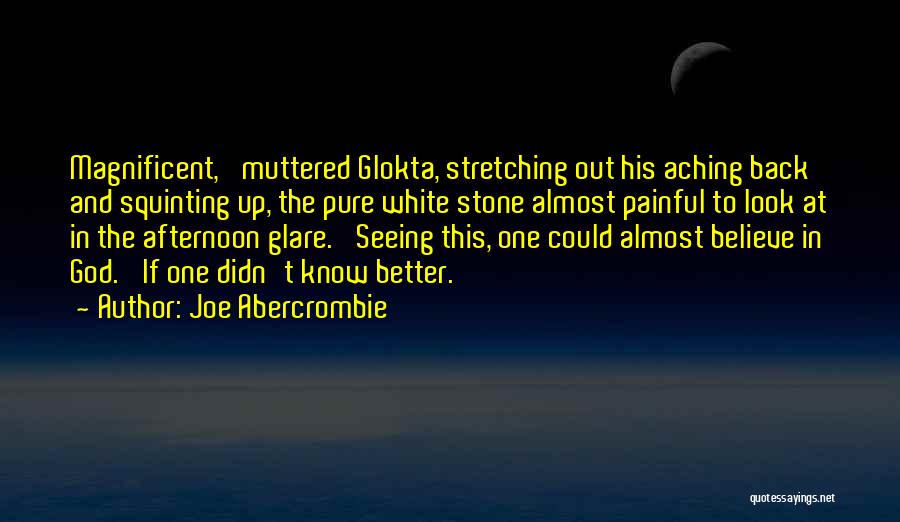 Joe Abercrombie Quotes: Magnificent,' Muttered Glokta, Stretching Out His Aching Back And Squinting Up, The Pure White Stone Almost Painful To Look At