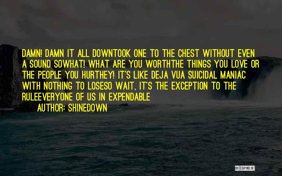 Shinedown Quotes: Damn! Damn It All Downtook One To The Chest Without Even A Sound Sowhat! What Are You Worththe Things You