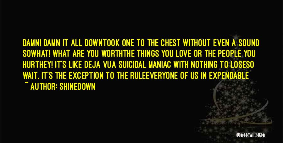 Shinedown Quotes: Damn! Damn It All Downtook One To The Chest Without Even A Sound Sowhat! What Are You Worththe Things You