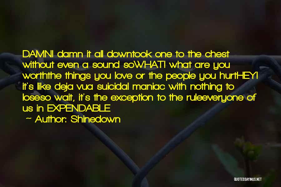 Shinedown Quotes: Damn! Damn It All Downtook One To The Chest Without Even A Sound Sowhat! What Are You Worththe Things You