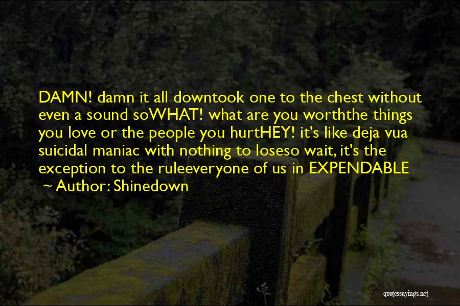 Shinedown Quotes: Damn! Damn It All Downtook One To The Chest Without Even A Sound Sowhat! What Are You Worththe Things You