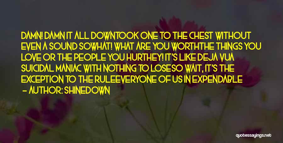 Shinedown Quotes: Damn! Damn It All Downtook One To The Chest Without Even A Sound Sowhat! What Are You Worththe Things You