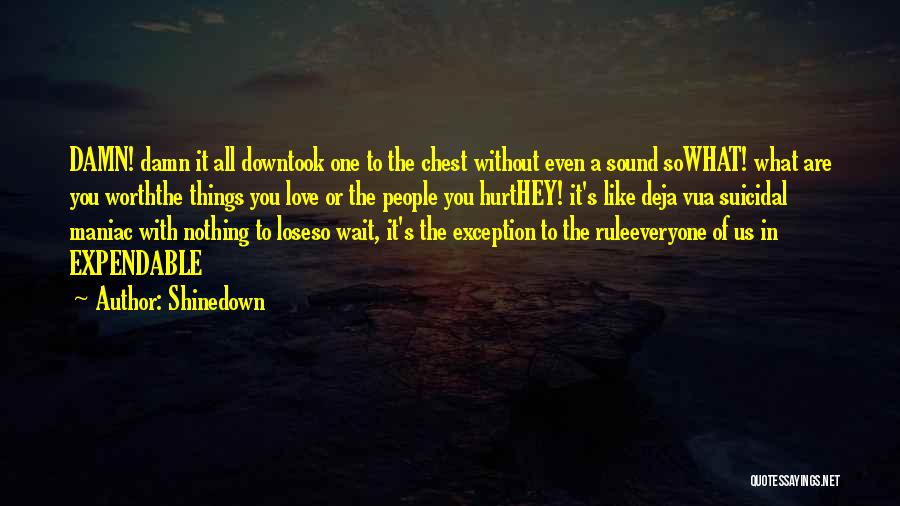 Shinedown Quotes: Damn! Damn It All Downtook One To The Chest Without Even A Sound Sowhat! What Are You Worththe Things You