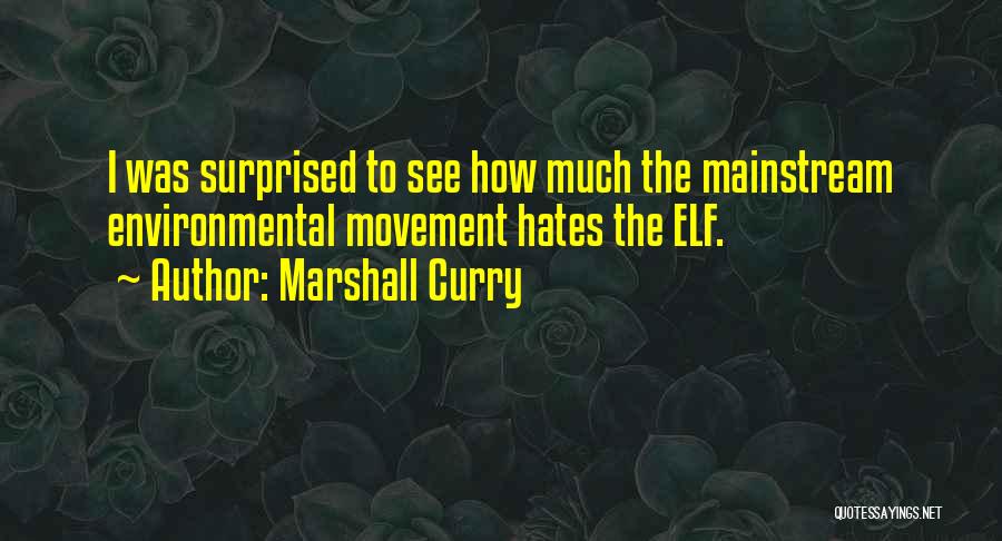 Marshall Curry Quotes: I Was Surprised To See How Much The Mainstream Environmental Movement Hates The Elf.