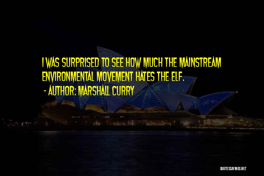 Marshall Curry Quotes: I Was Surprised To See How Much The Mainstream Environmental Movement Hates The Elf.