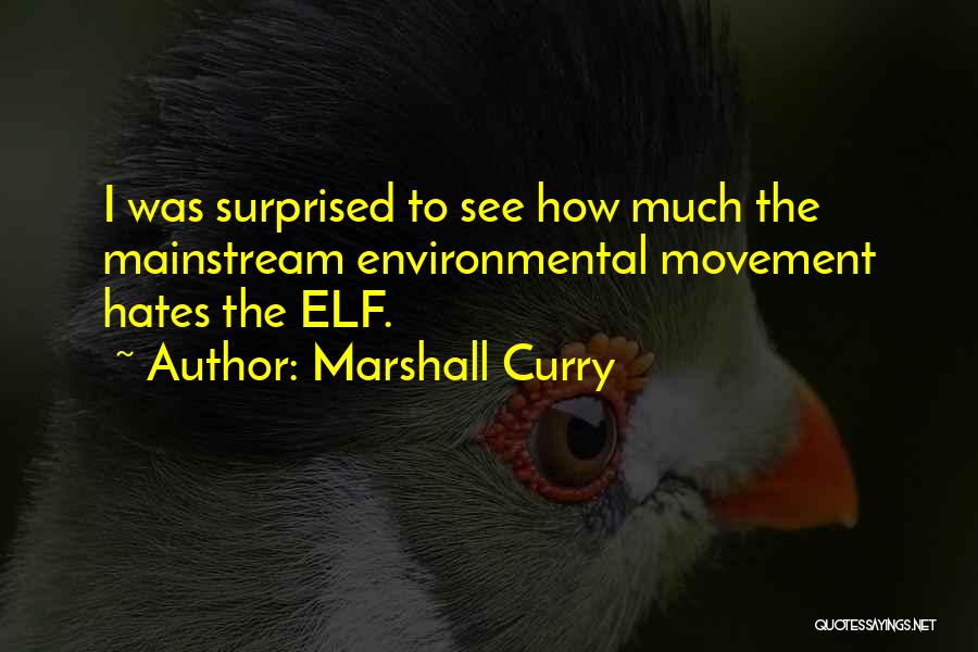Marshall Curry Quotes: I Was Surprised To See How Much The Mainstream Environmental Movement Hates The Elf.