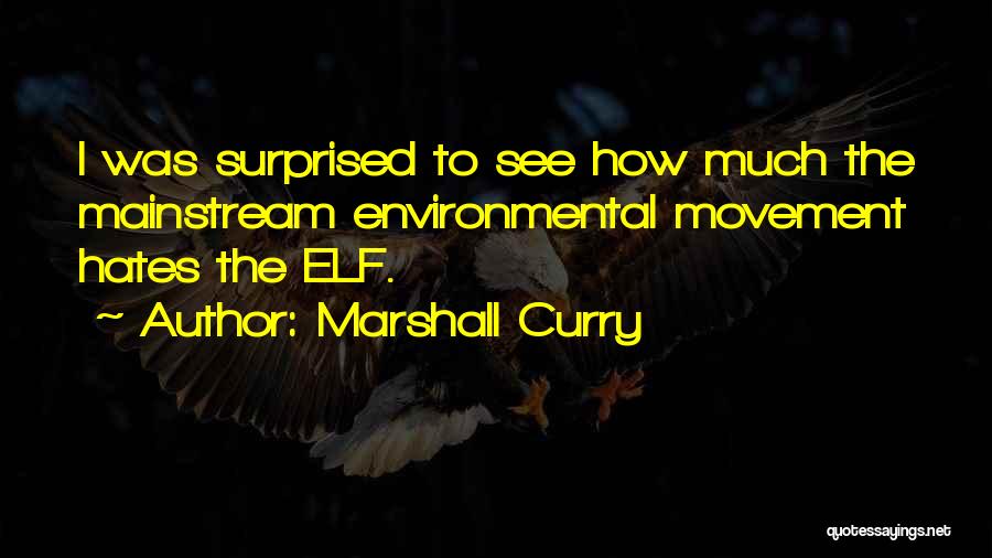 Marshall Curry Quotes: I Was Surprised To See How Much The Mainstream Environmental Movement Hates The Elf.