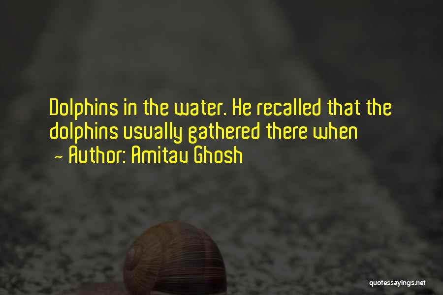 Amitav Ghosh Quotes: Dolphins In The Water. He Recalled That The Dolphins Usually Gathered There When