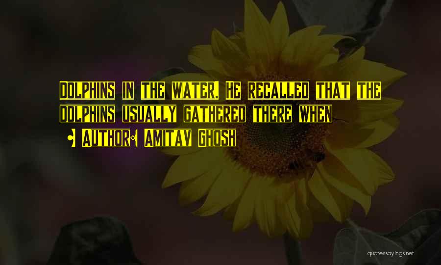 Amitav Ghosh Quotes: Dolphins In The Water. He Recalled That The Dolphins Usually Gathered There When