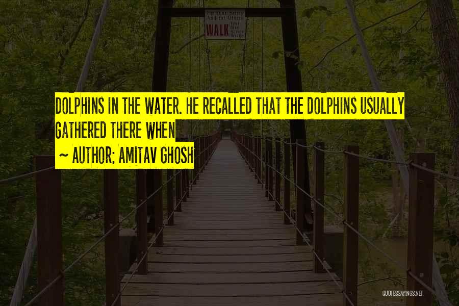 Amitav Ghosh Quotes: Dolphins In The Water. He Recalled That The Dolphins Usually Gathered There When