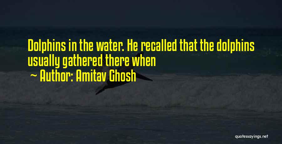 Amitav Ghosh Quotes: Dolphins In The Water. He Recalled That The Dolphins Usually Gathered There When