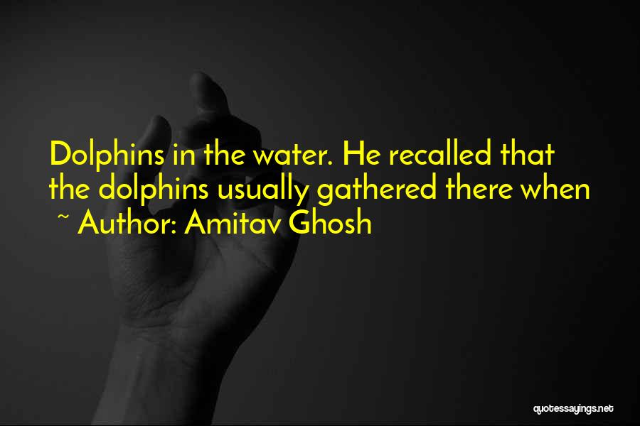 Amitav Ghosh Quotes: Dolphins In The Water. He Recalled That The Dolphins Usually Gathered There When