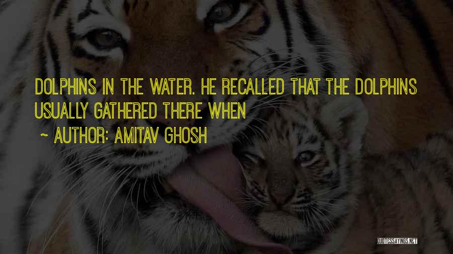 Amitav Ghosh Quotes: Dolphins In The Water. He Recalled That The Dolphins Usually Gathered There When