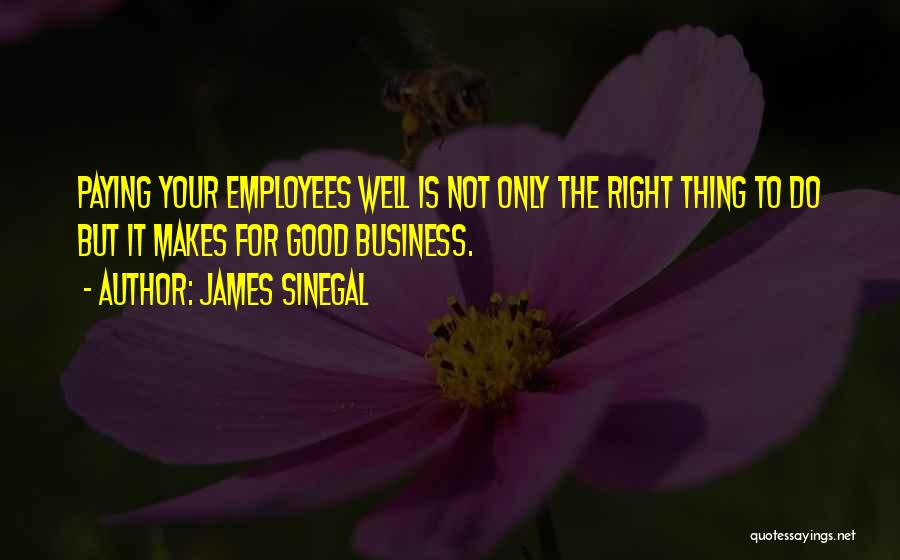 James Sinegal Quotes: Paying Your Employees Well Is Not Only The Right Thing To Do But It Makes For Good Business.