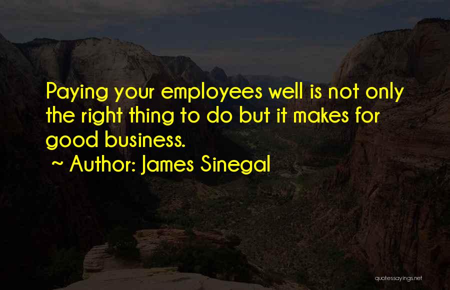 James Sinegal Quotes: Paying Your Employees Well Is Not Only The Right Thing To Do But It Makes For Good Business.