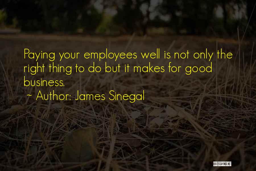 James Sinegal Quotes: Paying Your Employees Well Is Not Only The Right Thing To Do But It Makes For Good Business.