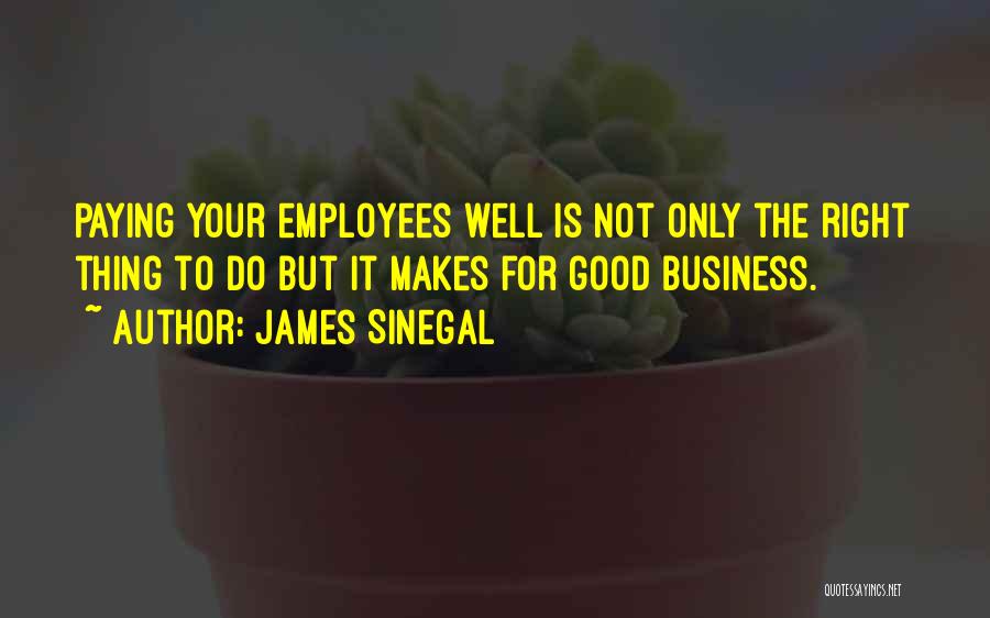 James Sinegal Quotes: Paying Your Employees Well Is Not Only The Right Thing To Do But It Makes For Good Business.