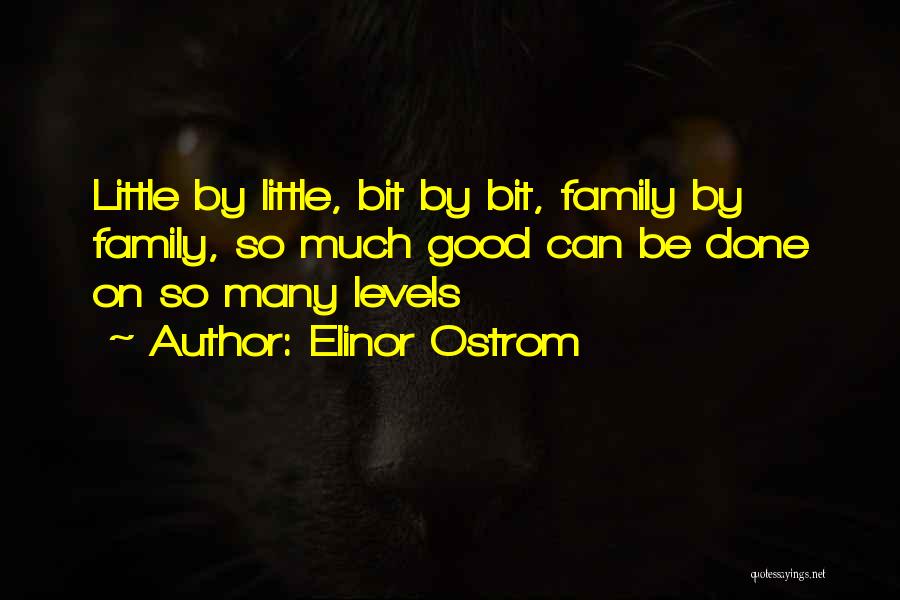 Elinor Ostrom Quotes: Little By Little, Bit By Bit, Family By Family, So Much Good Can Be Done On So Many Levels