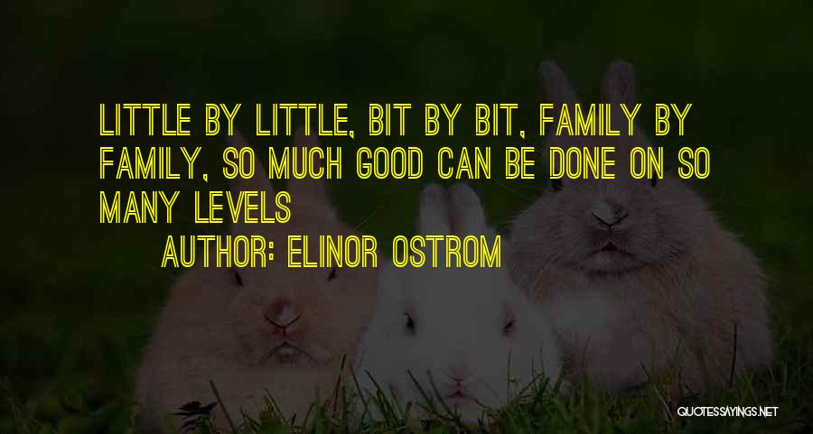 Elinor Ostrom Quotes: Little By Little, Bit By Bit, Family By Family, So Much Good Can Be Done On So Many Levels