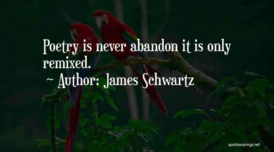 James Schwartz Quotes: Poetry Is Never Abandon It Is Only Remixed.