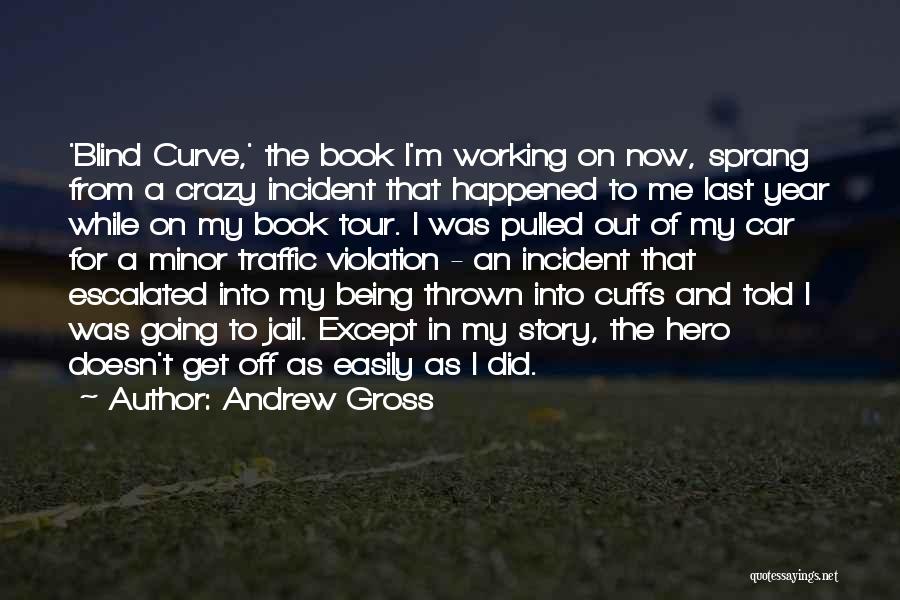 Andrew Gross Quotes: 'blind Curve,' The Book I'm Working On Now, Sprang From A Crazy Incident That Happened To Me Last Year While