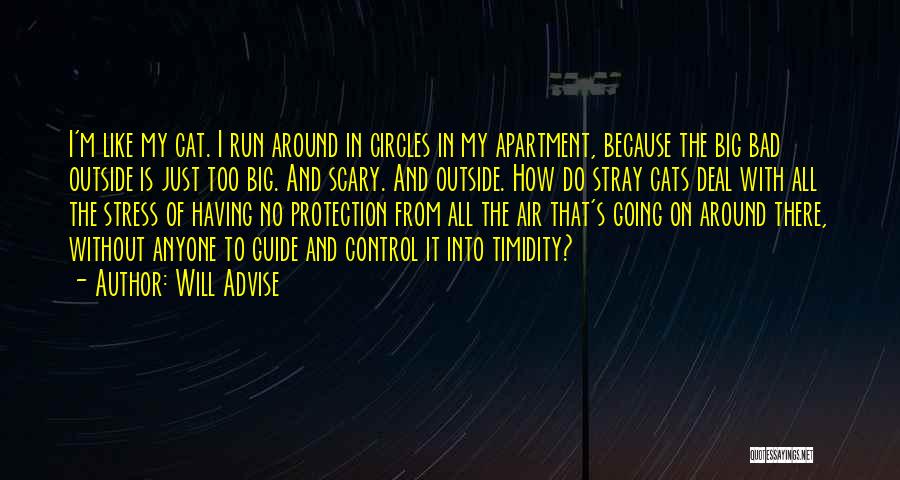 Will Advise Quotes: I'm Like My Cat. I Run Around In Circles In My Apartment, Because The Big Bad Outside Is Just Too