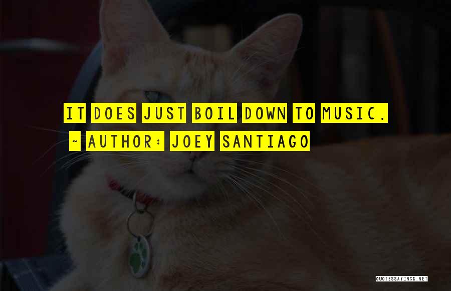 Joey Santiago Quotes: It Does Just Boil Down To Music.
