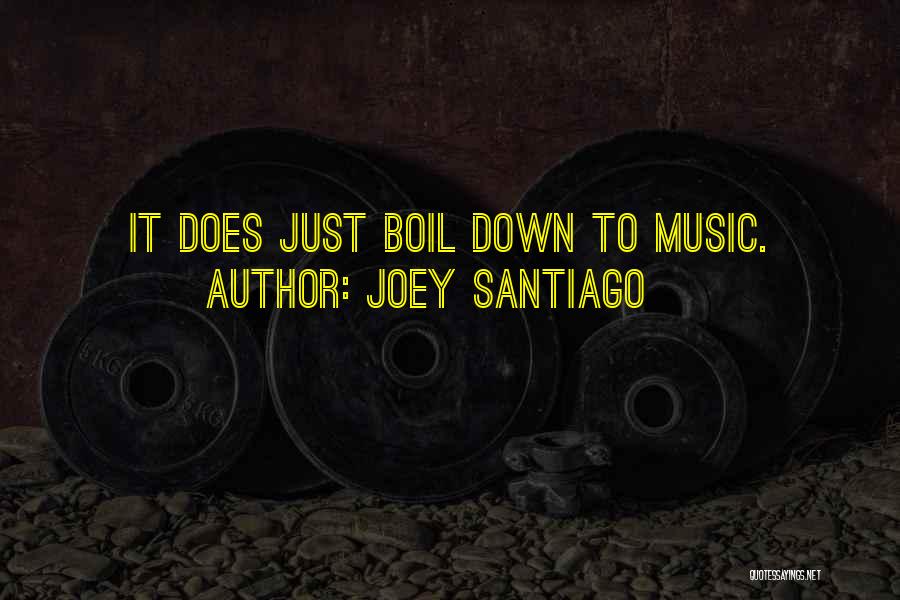 Joey Santiago Quotes: It Does Just Boil Down To Music.