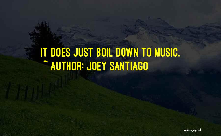 Joey Santiago Quotes: It Does Just Boil Down To Music.